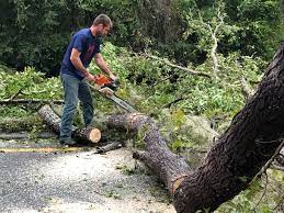 Best Weed Control  in Vallejo, CA